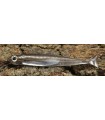 Fish Arrow Flash-J Huddle 2'' 6 cm wakasagi- silver