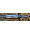 Fish Arrow Flash-J Huddle 3'' 7,5 cm pro blue - silver