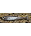 Fish Arrow Flash-J Huddle 1'' 4,5 cm Wakasagi - silver