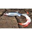 BALZER Shirasu Reptile Shad 15 cm. Weissfisch