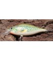 Dorado Tempter 10cm PK Floating