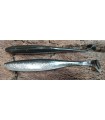 Easy Shinner 8-20cm LT19 Real Baitfish