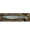 Fish Arrow Flash-J Huddle 2'' 6 cm Neon green/silver