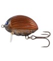 Salmo Lil Bug QBG009 May Bug