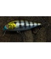 P21 Bet-A-Shad 83SP-SR 007 Crash HG Gill