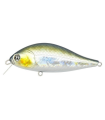 Pontoon 21 Bet-A-Shad 75SP-SR R30 Funa