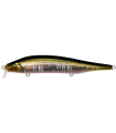 Megabass ITO Shiner SSR GG Tennessee Shad