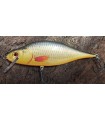 Dorado Tempter 14cm AC