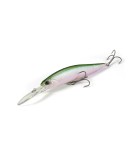 Duo Realis Jerkbait 100DR