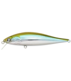 Pontoon 21 Bet-A-Minnow